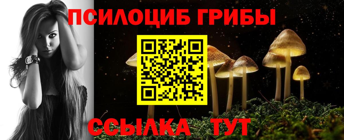 Галлюциногенные грибы мицелий  Вход с VPN  Белогорск  Псилоцибиновые грибы ЛСД 